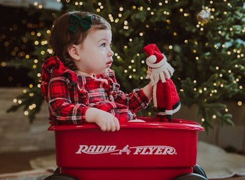 Какой подарок выбрать на Новый год?